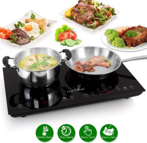 portable induction cooktop costco