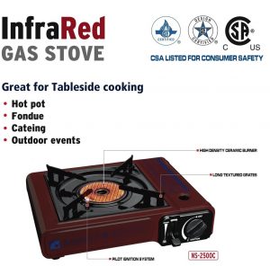 Portable Gas Stove with Carry Case