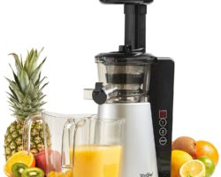 10 Best Electric Fruit Juicers for Kitchen in 2024