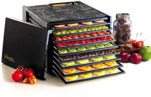 food dehydrator