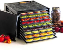 Top 10 Best Food Dehydrators in 2024