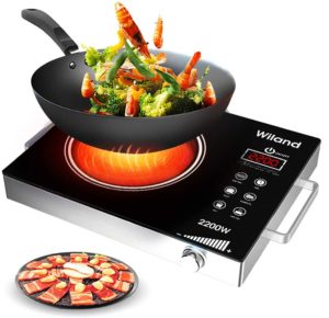 best portable induction cooktop 2024