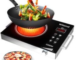 Top 10 Best Portable Induction Cooktops in 2024