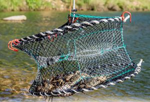 Bait Clip Crab Net