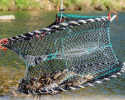 Crabbing Essentials: Unveiling the Top 12 Crab Nets for a Successful Catch and Ethical Crab Preservation