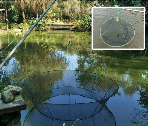 WEISGJA Portable Folded Crab Net is dropping into the water to catch crab, fish and prawn.