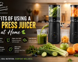 15 Best Cold Press Juicers for Your Kitchen in 2026: Chef’s Top Picks!