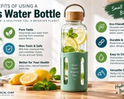 12 Best Glass Water Bottles in 2026 – Non-Toxic & Eco-Friendly Picks